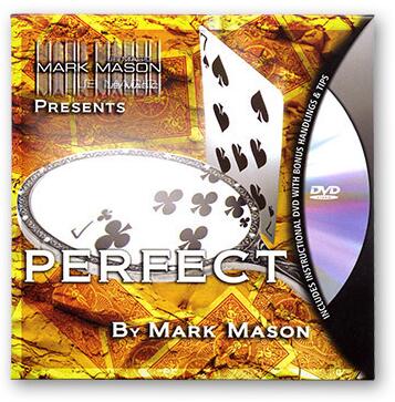 Perfect by Mark Mason