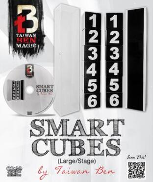 Smart Cubes Red by Taiwan Ben