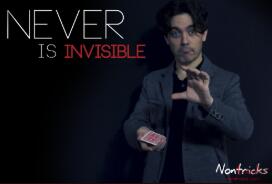 Never is Invisible by Kiko Pastur