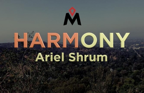 HARMONY by Ariel Shrum