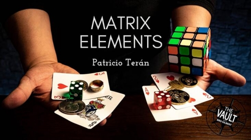 Matrix Elements by Patricio Teran
