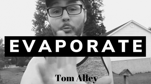 Evaporate by Tom Alley