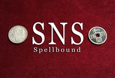 SNS Spellbound by Rian Lehman