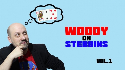 Woody on Stebbins Vol 1 by Woody Aragon