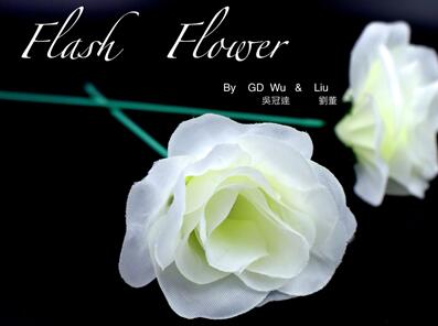 White Flash Flower by GD Wu