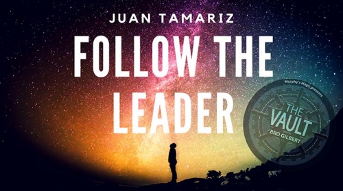 Follow the Leader by Juan Tamariz