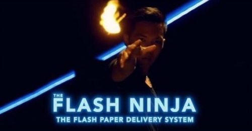 Flash Ninja by Terry Cheung