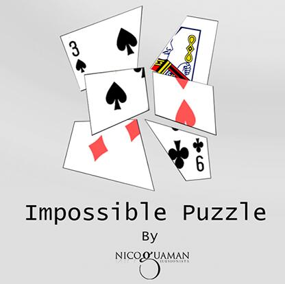 Impossible Puzzle by Nico Guaman