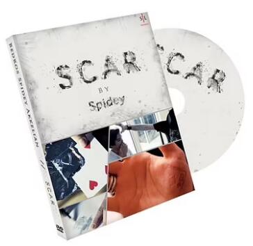 SCAR by Spidey & Shin Lim