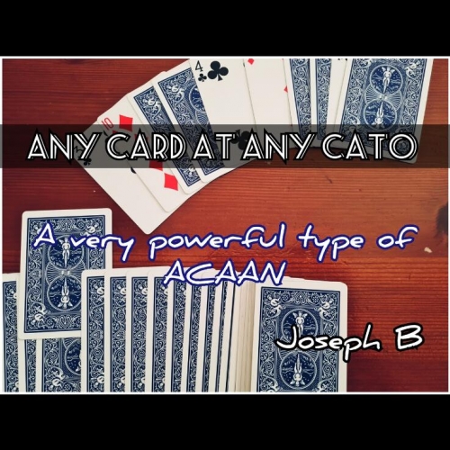 ANY CARD AT ANY CATO by Joseph B.