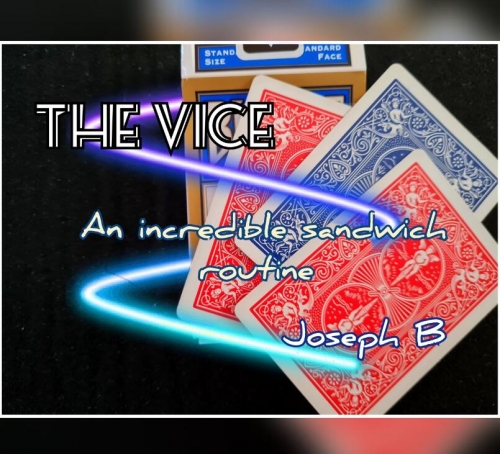 THE VICE By Joseph B