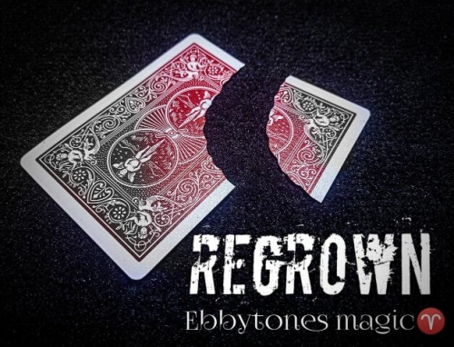 Regrown by Ebbytones