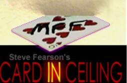 Card in Ceiling by Steve Fearson