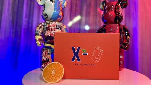 X Box 2.0 by Kingsley Xu