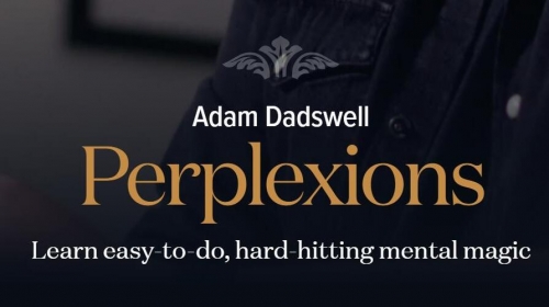 Perplexions by Adam Dadswell