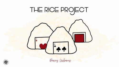 The Vault - The Rice Project by Danny Urbanus