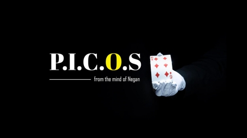 Picos by Negan