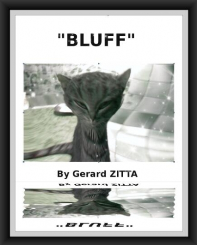 Bluff by Gerard Zitta