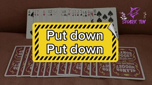 Put down - Put down by Shark Tin and JJ team