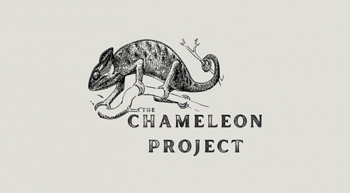 The Chameleon Project by Michael Shaw