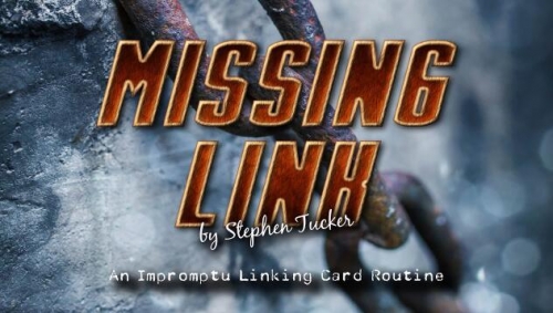The Missing Link by Stephen Tucker