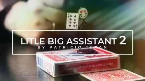 Little Big Assistant 2 by Patricio Teran