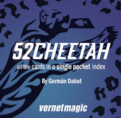 52 Cheetah by German Dabat