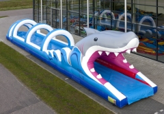 Shark Belly Slide