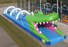 Crocodile Belly Slide