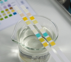 11MA parameter urine test strips