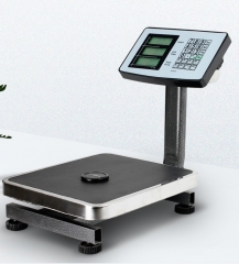 60kg & 100kg Small Size Platform Scale