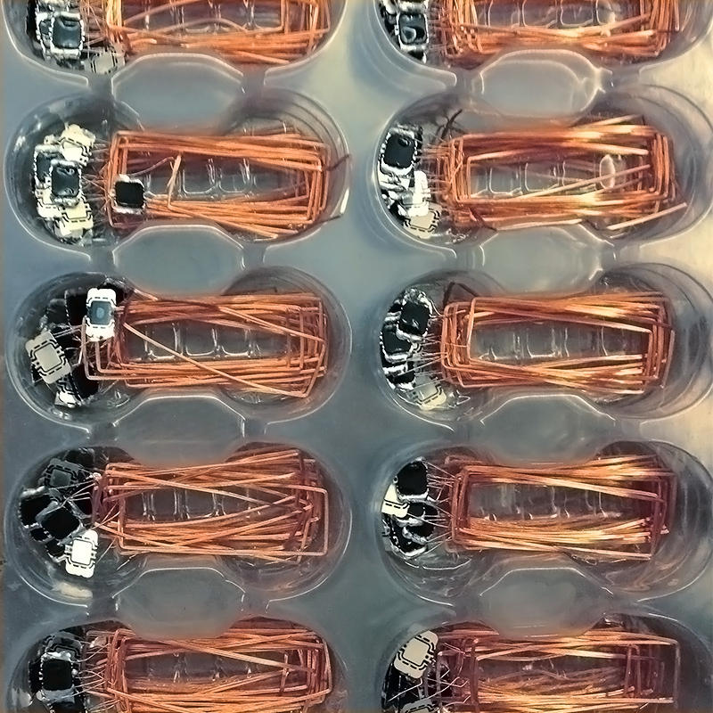 Chip RFID