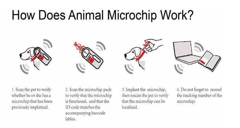 The Solution of  pet identification