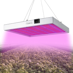 New Best Selling Led Grow Light COB 1000W Full Spectrum Led Grow Light with Competitive Price