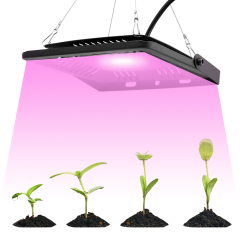 DIY LED Grow Light Kits 50W Greenhouse Full Spectrum COB LED Grow Light For Hydroponic