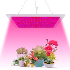 LED grow light panel High Power 100W Amazon best indoor Lowes Chilled 40w Spectrum Hydroponics LED Grow Lights