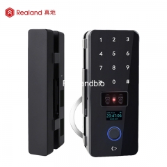 ZDL1109B Inteligente Smart Glass Door Lock