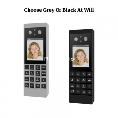 ZDM21  Standalone Facial Password Fingerprint Recognition Access Control