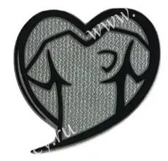 Euro Qualifier Arm Badge