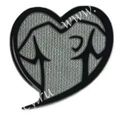 Euro Qualifier Arm Badge