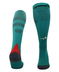 2024-2025 Wales Away Green Kids/Youth Soccer Socks-4539