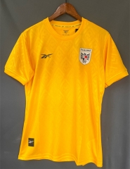 2024-2025 Panama Yellow Thailand Soccer Jersey AAA-9171
