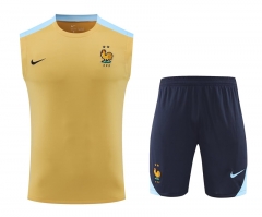 2024-2025 France Yellow Thailand Soccer Vest Uniform-418
