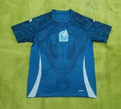 (S-4XL) 2024-2025 Mexico Blue Thailand Training Soccer Jersey AAA-9755