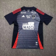 2024-2025 Frosinone Calcio 2nd Away Royal Blue Thailand Soccer Jersey AAA-417