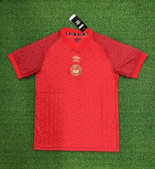 2025-2026 AFC Bournemouth Red Thailand Training Soccer Jersey AAA-403