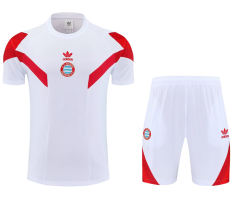 25-26 Bayern München White Grey Thailand Soccer Uniform AAA-4627