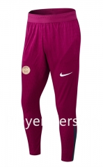 Player Version 2025-26 Paris SG Pink Thailand Soccer Long Pants -9926