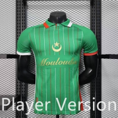 Player Version 2025-2026 Palestine Green Thailand Soccer Jersey AAA-888