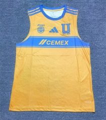 (S-3XL) 25-26 Tigres UANL Home Yellow Thailand Vest-sleeve Soccer Jersey AAA-912